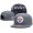 NFL Pittsburgh Steelers Stitched Snapback Hats 144