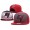 NFL Tampa Bay Buccaneers Stitched Snapback Hats 039