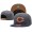 NFL Chicago Bears Team Logo Snapback Adjustable Hat