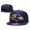 Ravens Team Logo Purple Adjustable Hat TX
