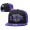 Ravens Team Logo Purple 1996 Anniversary Adjustable Hat YD
